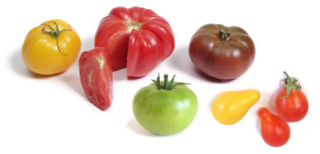 types-of-tomatoes